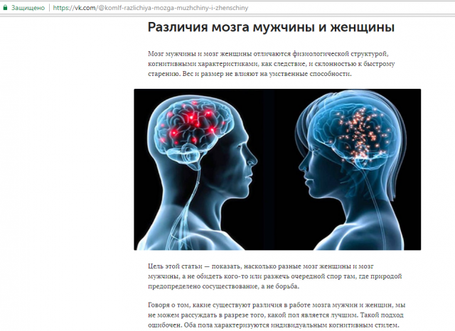 Различия мозга мужчины и женщины