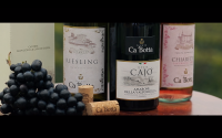 CaBotta. Vineyards. trailer