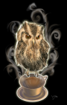 Кофе для совёнка