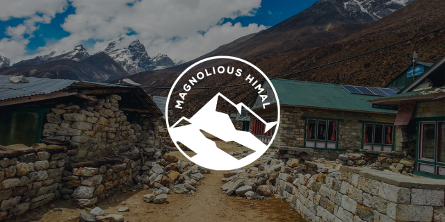Magnolious Himal