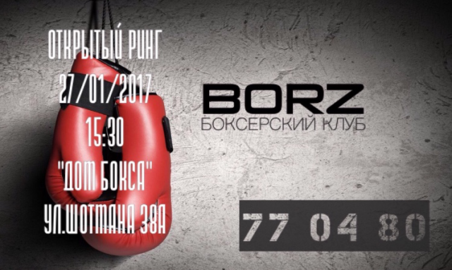 Работа 3363671