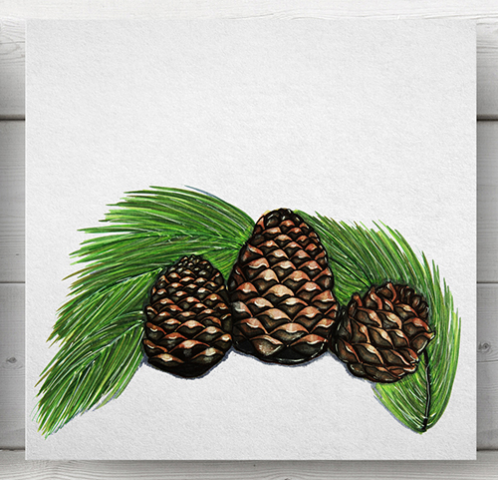 Pins