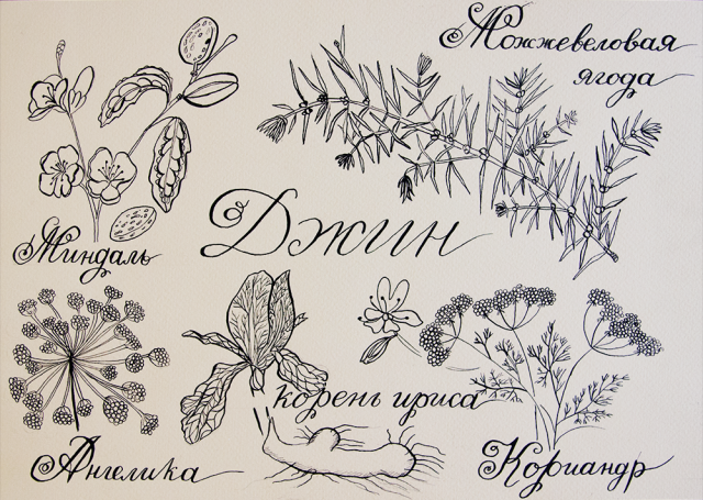 Calligraphy