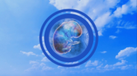 Embryo — After Effects