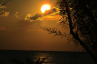 Работа 2391096