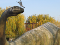 Работа 2391089