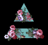 Принт 30 seconds to mars.