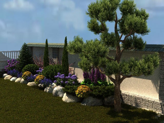 pic3357724.jpg