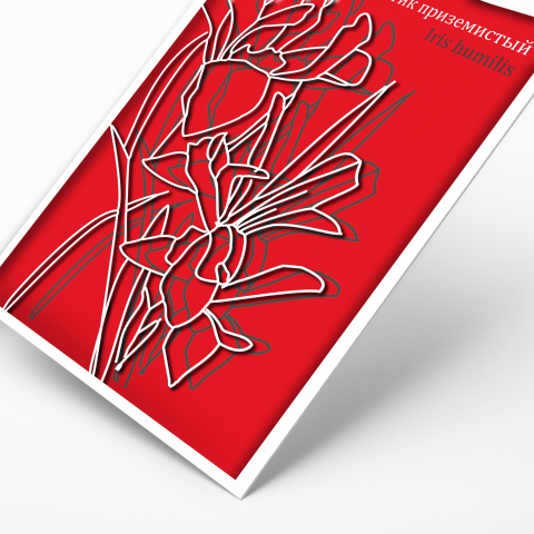 Серия открыток "Красная книга Кузбасса"