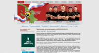 Продвижение сайта Odeongroup.ru