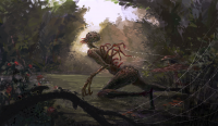 spider