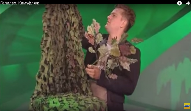 Сценарий сюжета "Камуфляж" ("Галилео")