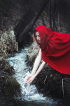 Красная Шапочка / Little Red Riding Hood