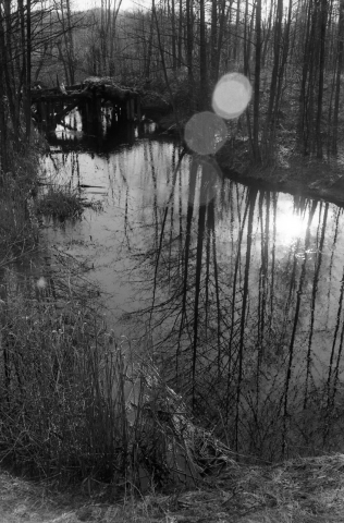 Работа 3360404