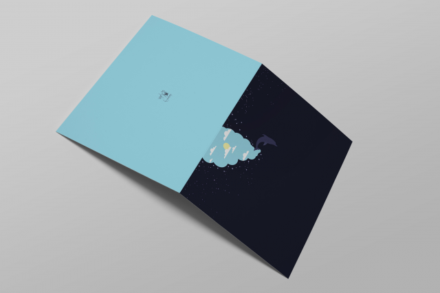 Postcard 2 Dolphin