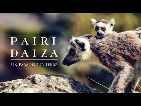 Пайри Дайза