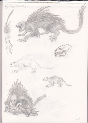 Ехидноморф