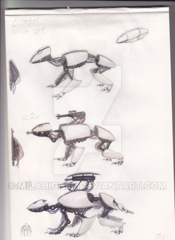 Роботы-скауты SC