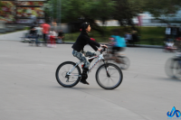 Работа 2366770