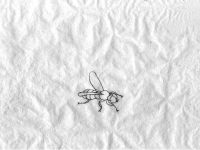 превращение из мухи в слона