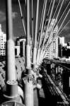Живописный мост