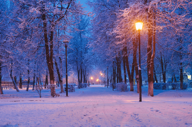 Winter3