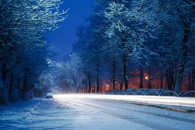 Winter