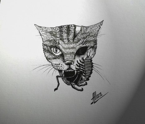 dead cat