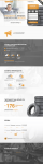 Landing page для Gepard.kz