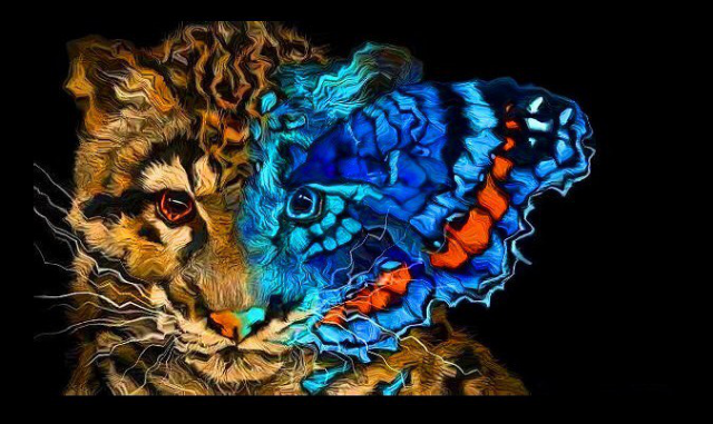 тигр и бабочка