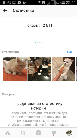 Котики