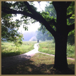 Каждый день между внешним и внутренним...