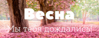 Баннеры для различных e-mail рассылок