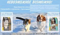 Баннер корма