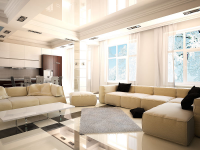 гостиная-столовая