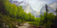 Водопадистый (х.м. 400х800)