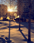 Работа 3113103