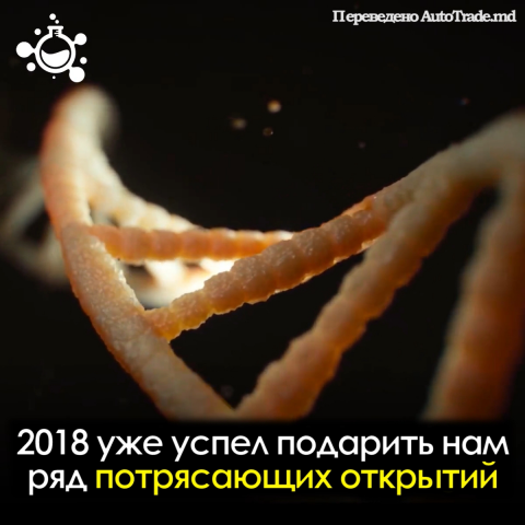 Перевод и создание субтитров для видео