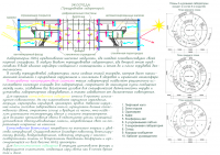 НИЦ Экологии Конкурс 1.1