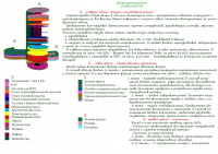 НИЦ Экологии Конкурс 1.3