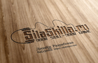Разработка логотипа – SilaSkilla
