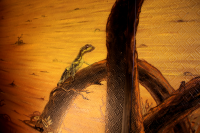 фрагмент оформления, стена из коридора в кухню