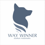 WAY WINNER