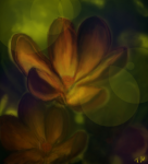 Работа 2315672