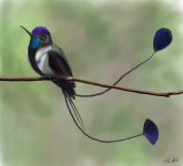 Работа 2315670