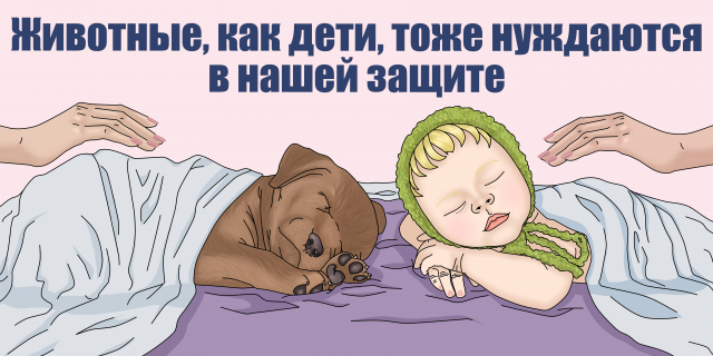 Баннер против жестокого обращения с животными