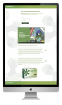 Llanding page для медицинского препарата Хелинорм