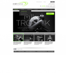 Разработка дизайна сайта фитнес клубов MILTRONIC