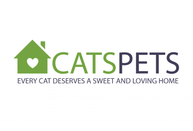 CatsPets