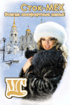 Макет рекламного баннера на стелле 1,1м*1,6м